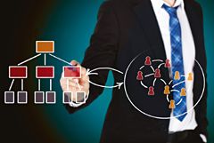 Supply Chain Manager